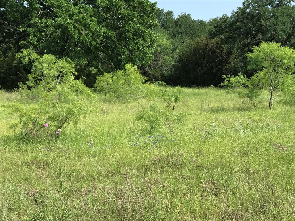 17061 Trailwood Drive Property Photo 1