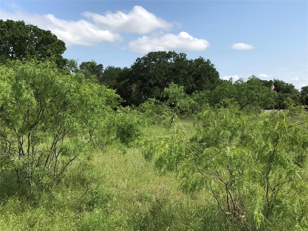 17061 Trailwood Drive Property Photo 2