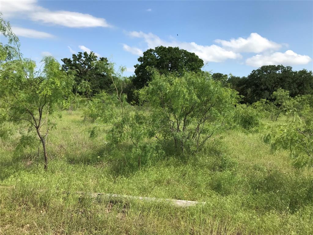17061 Trailwood Drive Property Photo 3