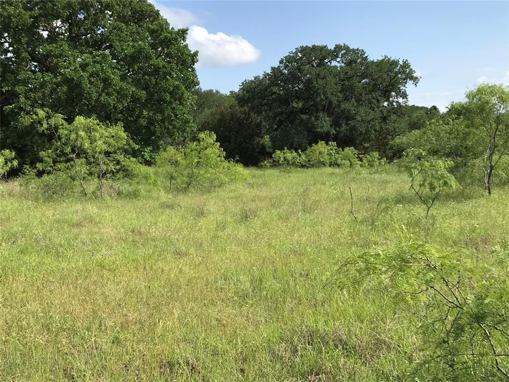 17061 Trailwood Drive Property Photo 6