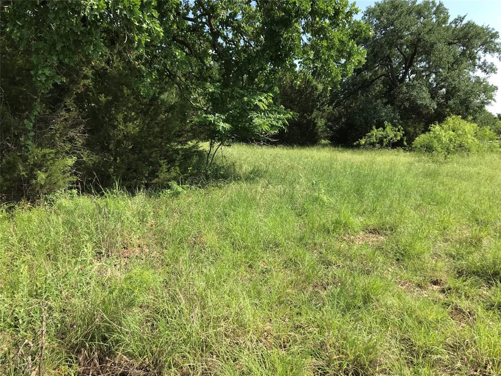 17061 Trailwood Drive Property Photo 7