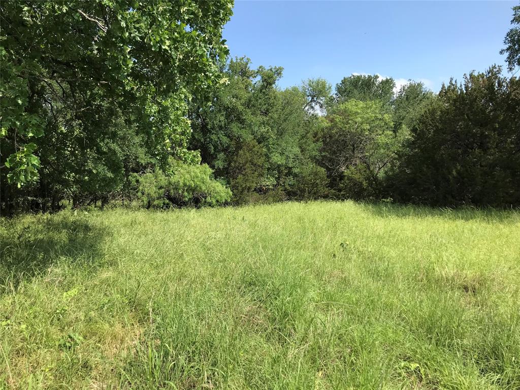 17061 Trailwood Drive Property Photo 8
