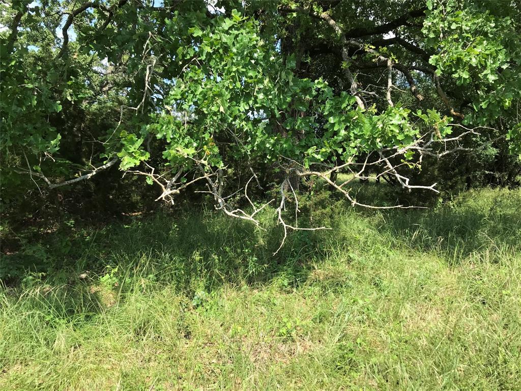 17061 Trailwood Drive Property Photo 10