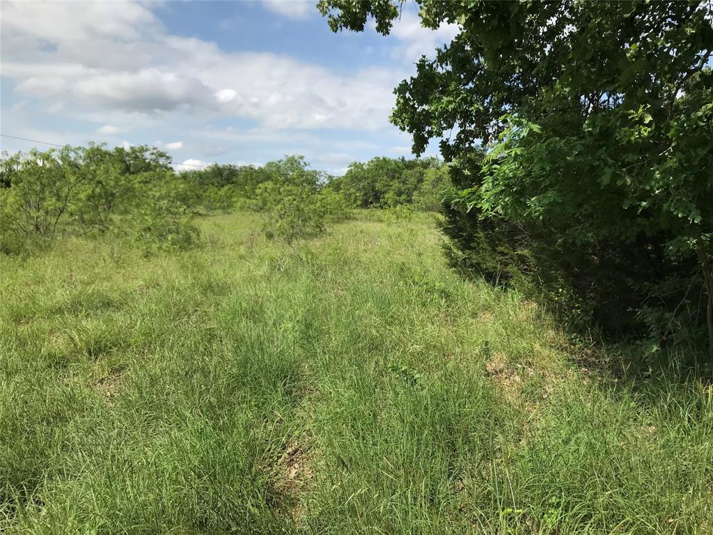 17061 Trailwood Drive Property Photo 11