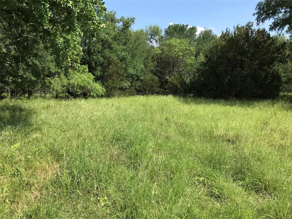 17061 Trailwood Drive Property Photo 14