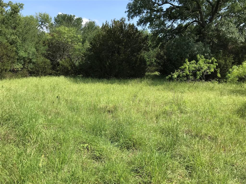 17061 Trailwood Drive Property Photo 15