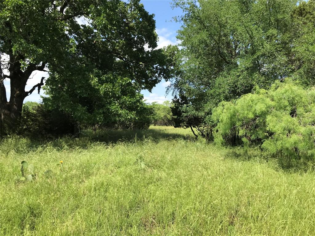 17061 Trailwood Drive Property Photo 16