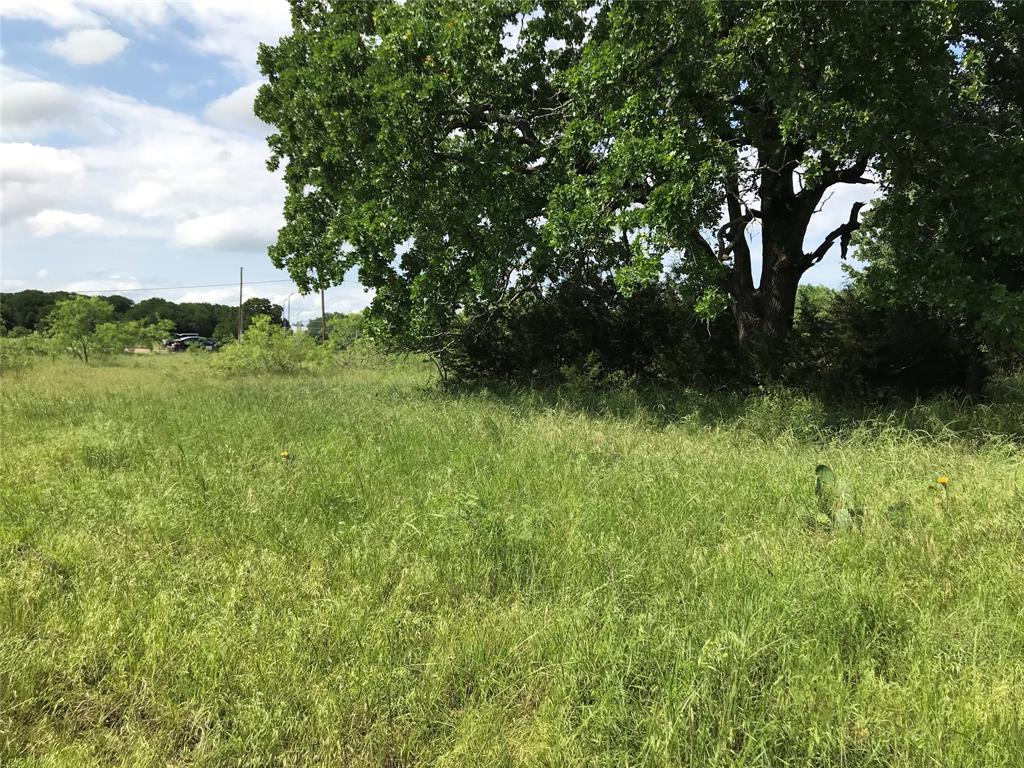 17061 Trailwood Drive Property Photo 17