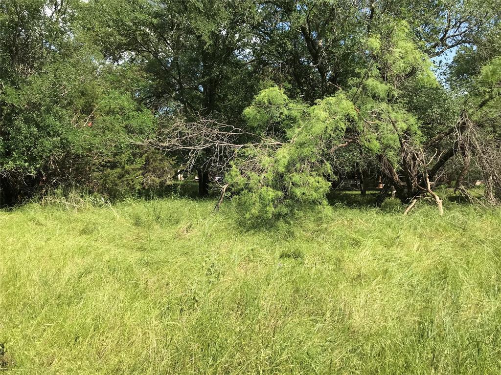 17061 Trailwood Drive Property Photo 19