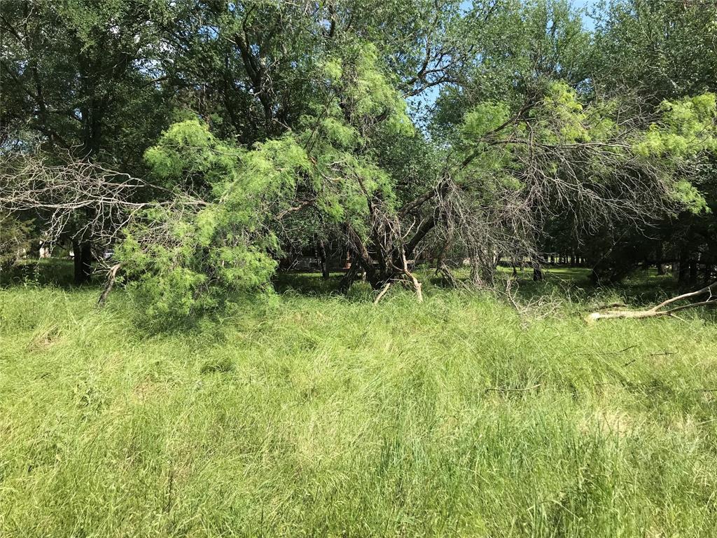 17061 Trailwood Drive Property Photo 20