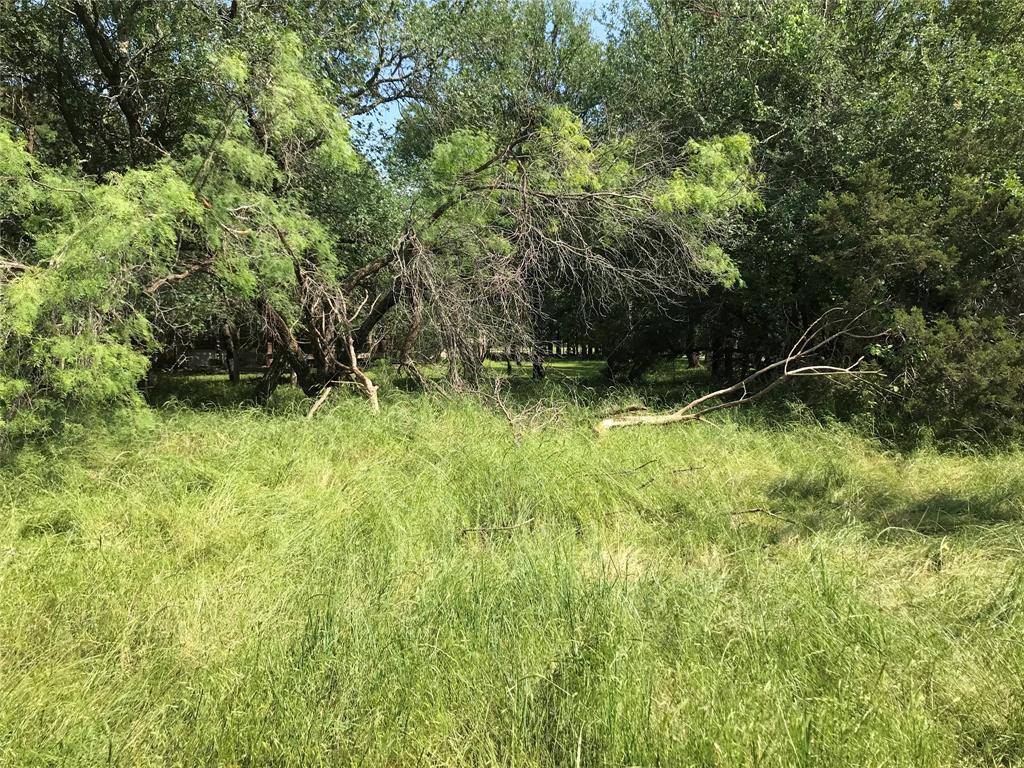 17061 Trailwood Drive Property Photo 21