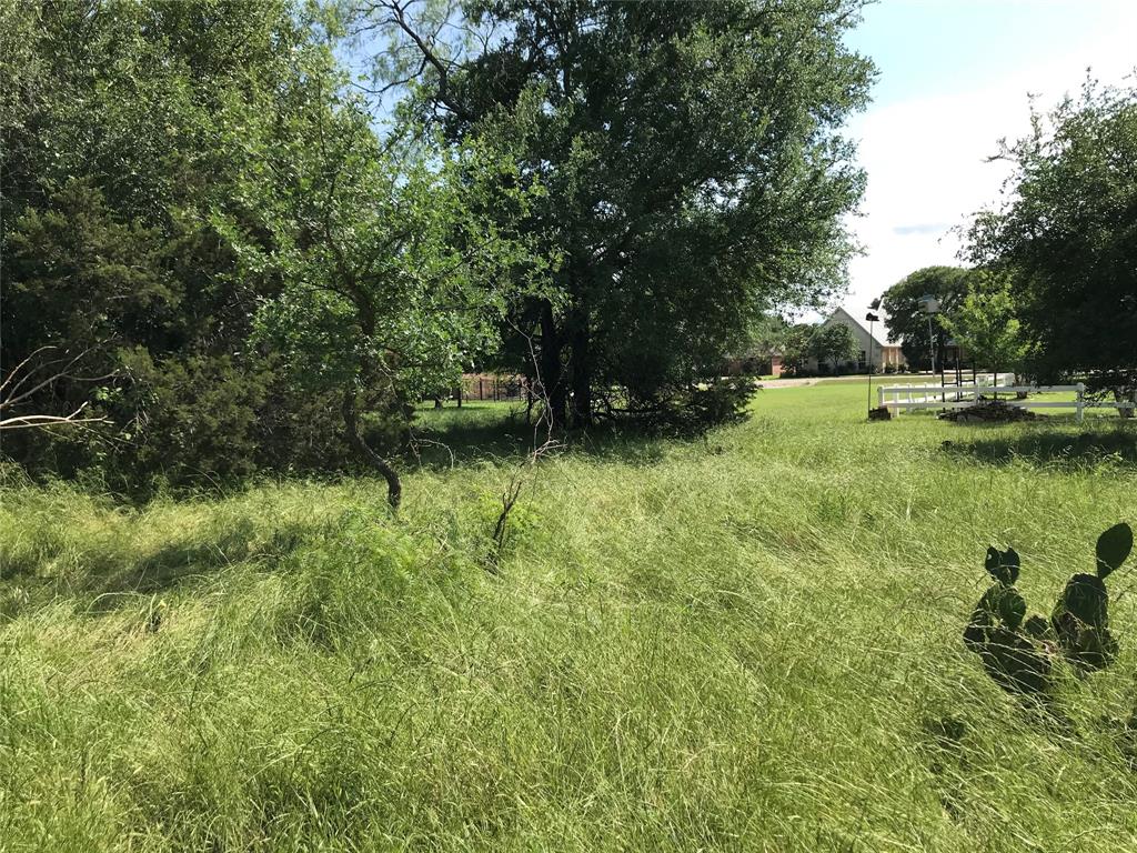 17061 Trailwood Drive Property Photo 22
