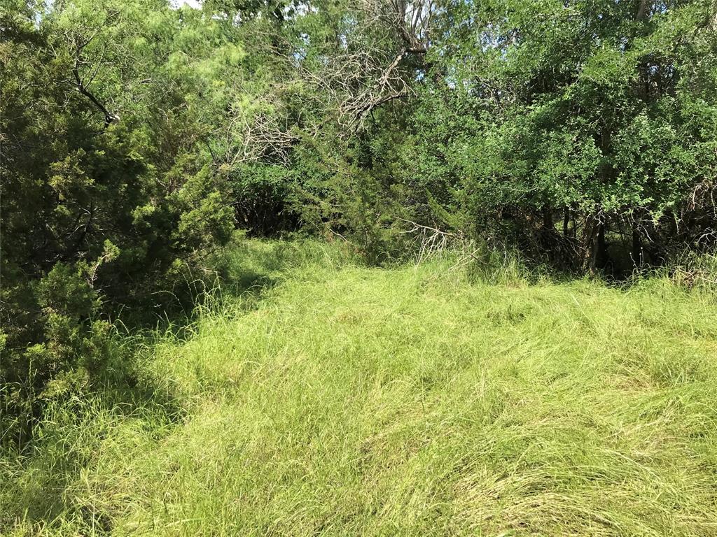 17061 Trailwood Drive Property Photo 23