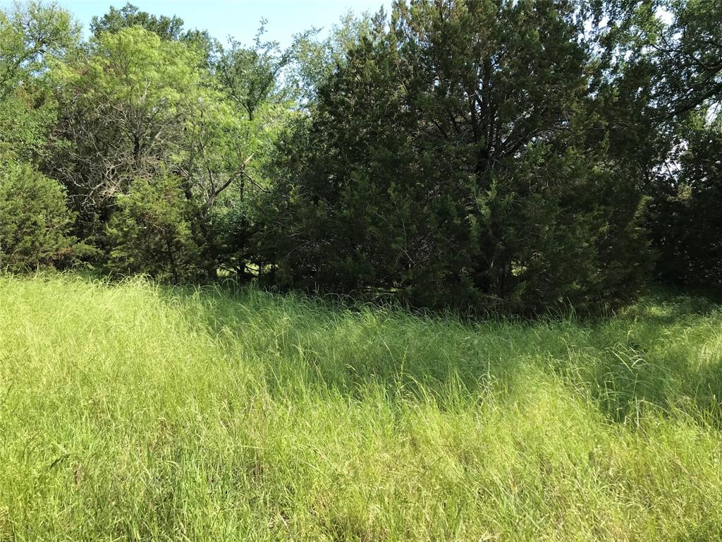 17061 Trailwood Drive Property Photo 24