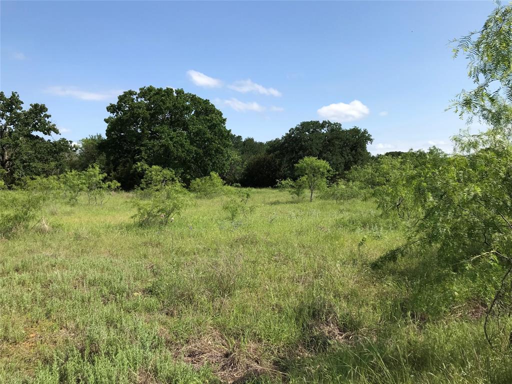 17061 Trailwood Drive Property Photo 25