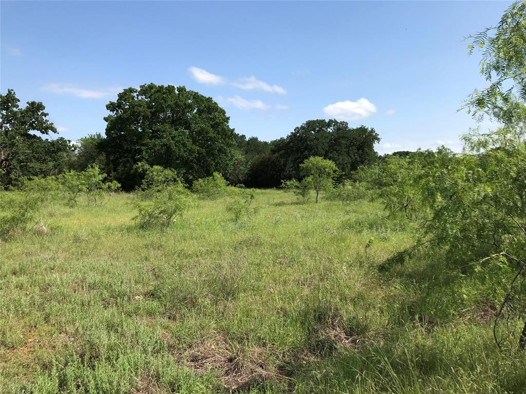 17061 Trailwood Drive Property Photo 26