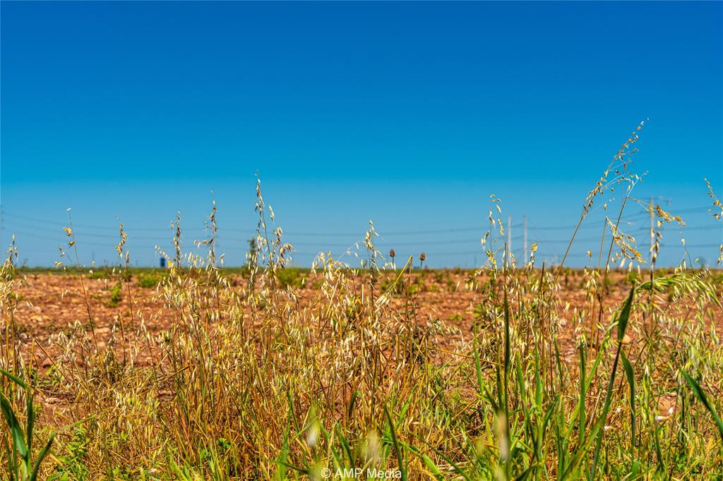 Tbd Cr 262 Property Photo 5