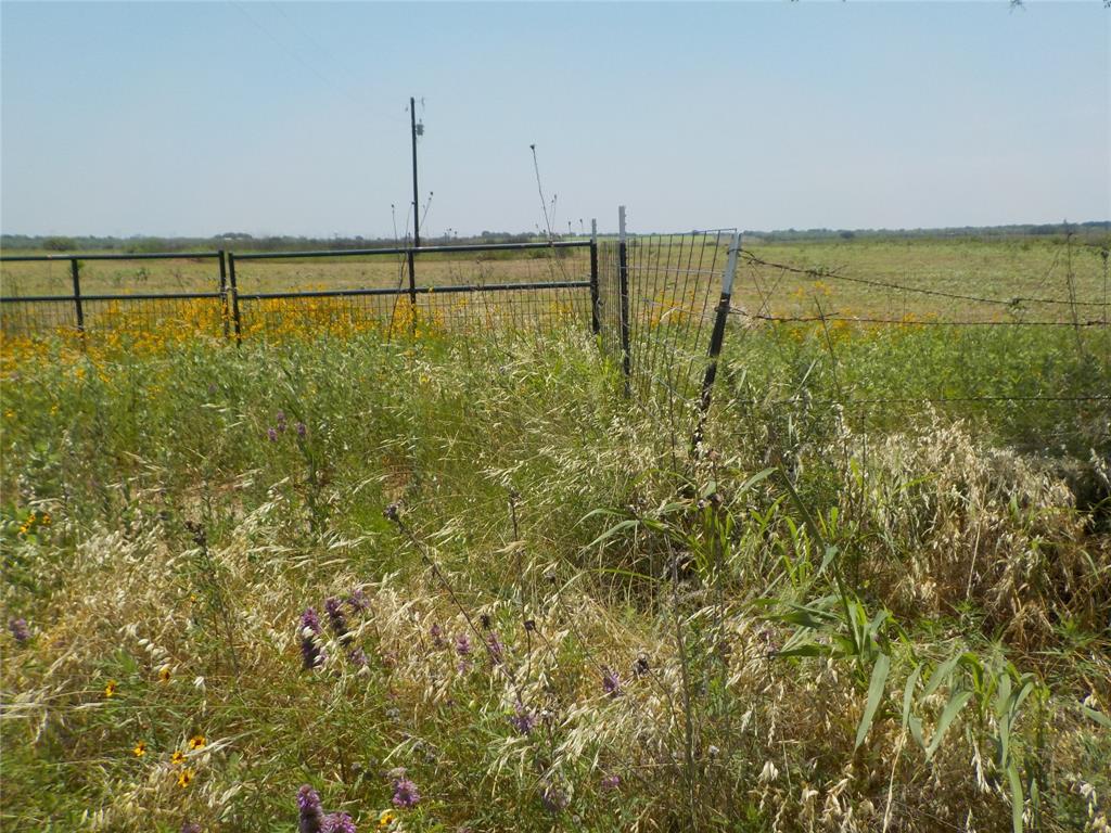 3328 County Road 339 Property Photo 4
