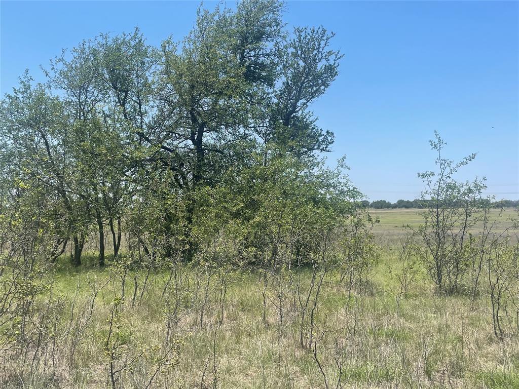 Tbd Cr 338 Property Photo 1