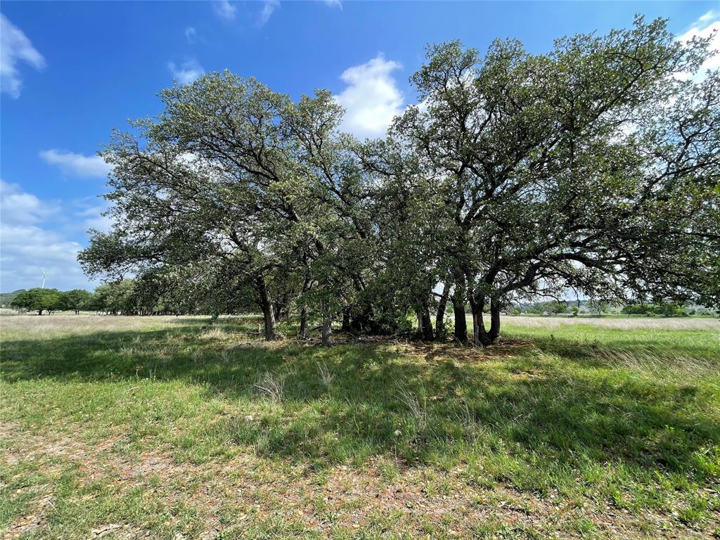 1522 Fm 572 Property Photo 1