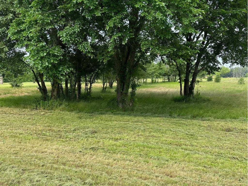 2421 S Fm 131 Property Photo 1