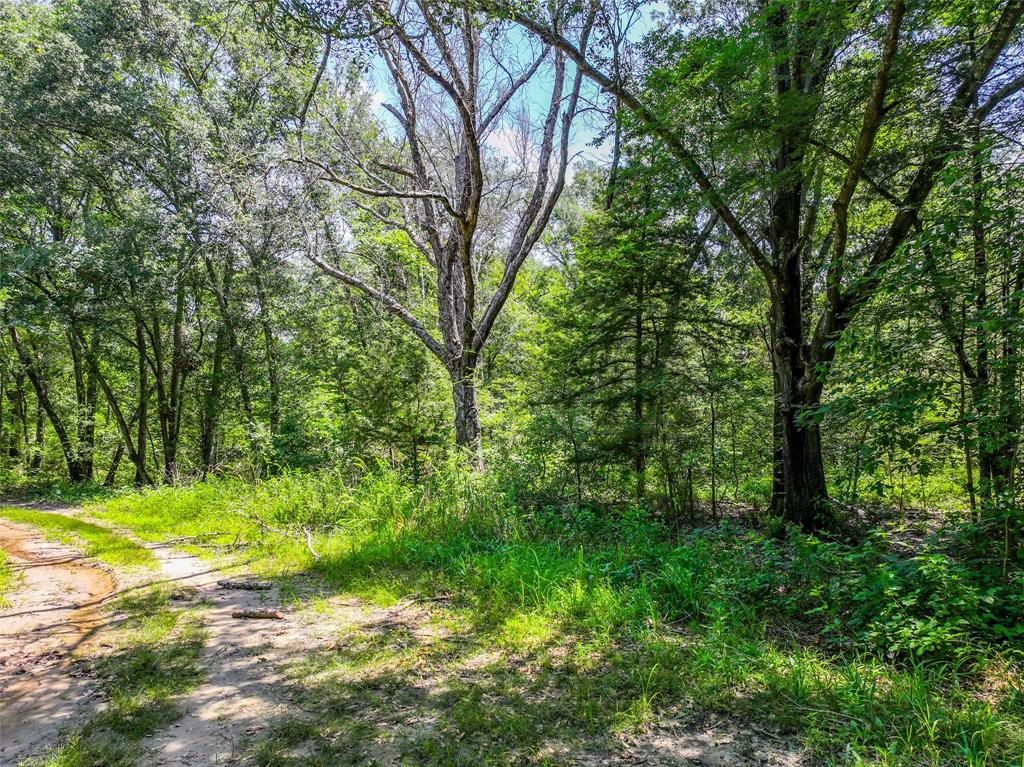 0 W County Road 2182 Property Photo 21