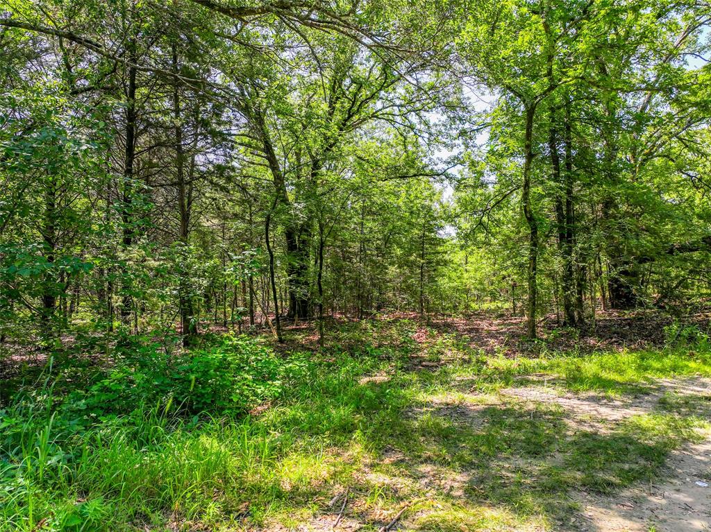 0 W County Road 2182 Property Photo 22