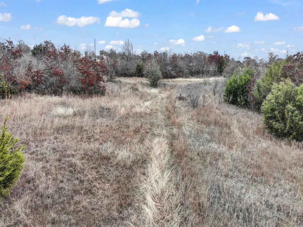 1005 Spring Ranch Drive Property Photo 12