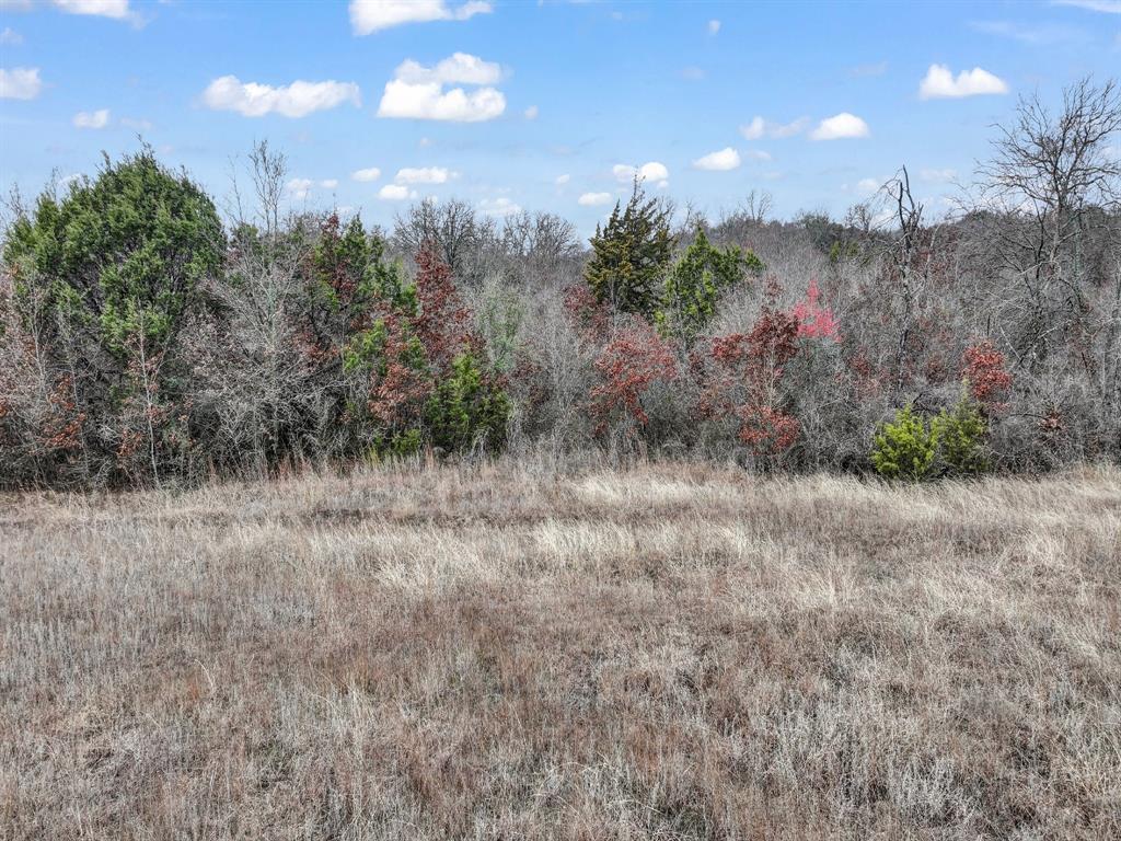 1005 Spring Ranch Drive Property Photo 13