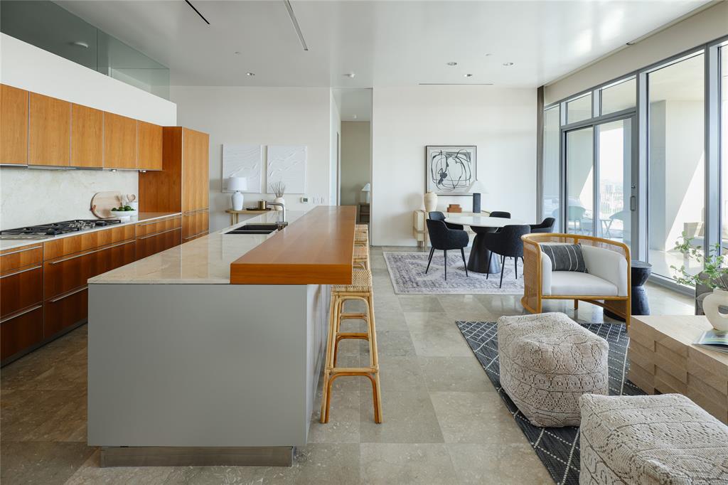 1717 Arts Plaza Property Photo 3