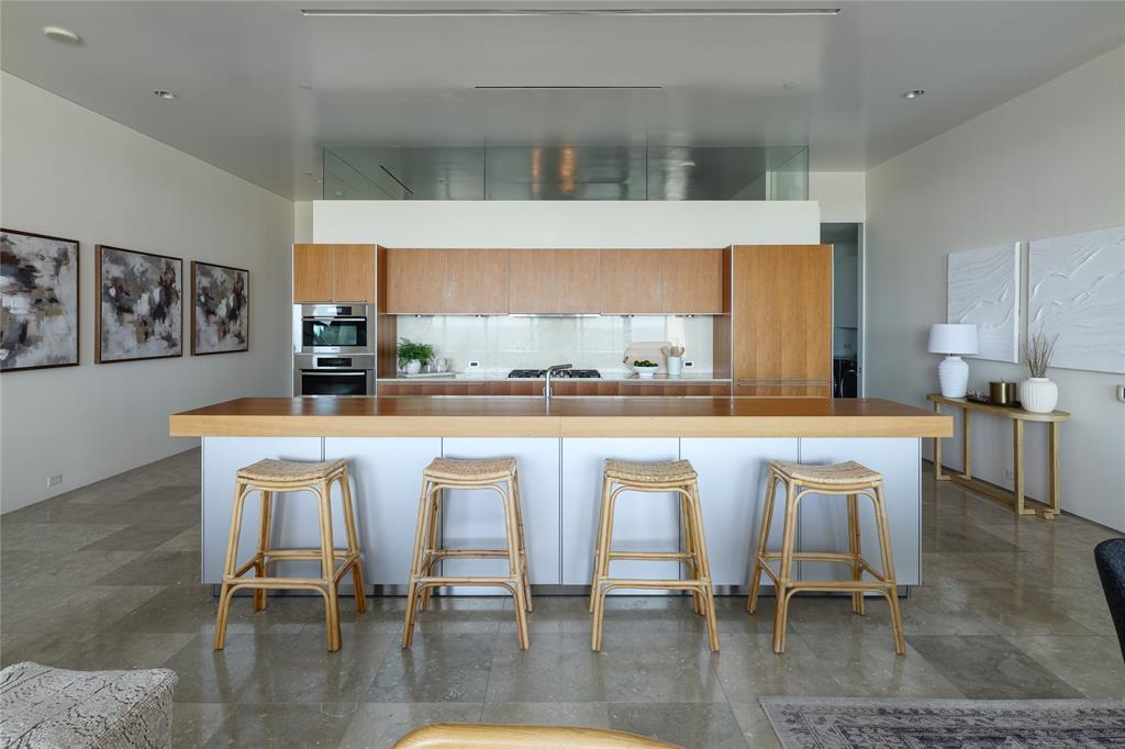 1717 Arts Plaza Property Photo 10