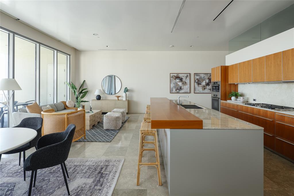 1717 Arts Plaza Property Photo 15