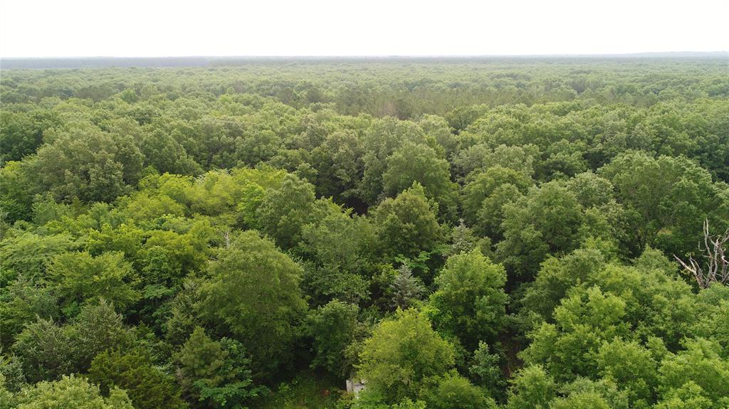 0000 Fm 1699 Property Photo 4