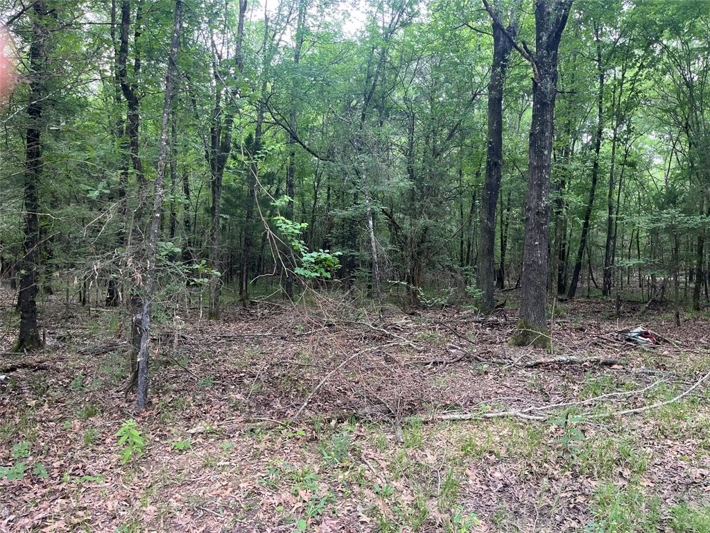 0000 Fm 1699 Property Photo 7