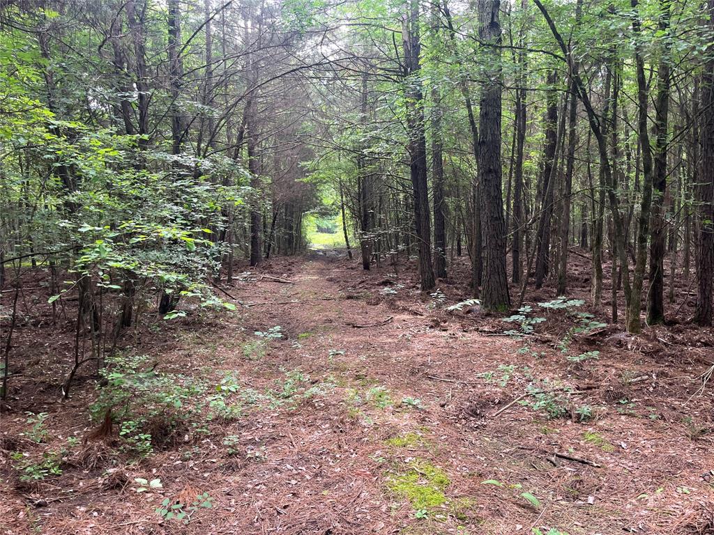 0000 Fm 1699 Property Photo 10