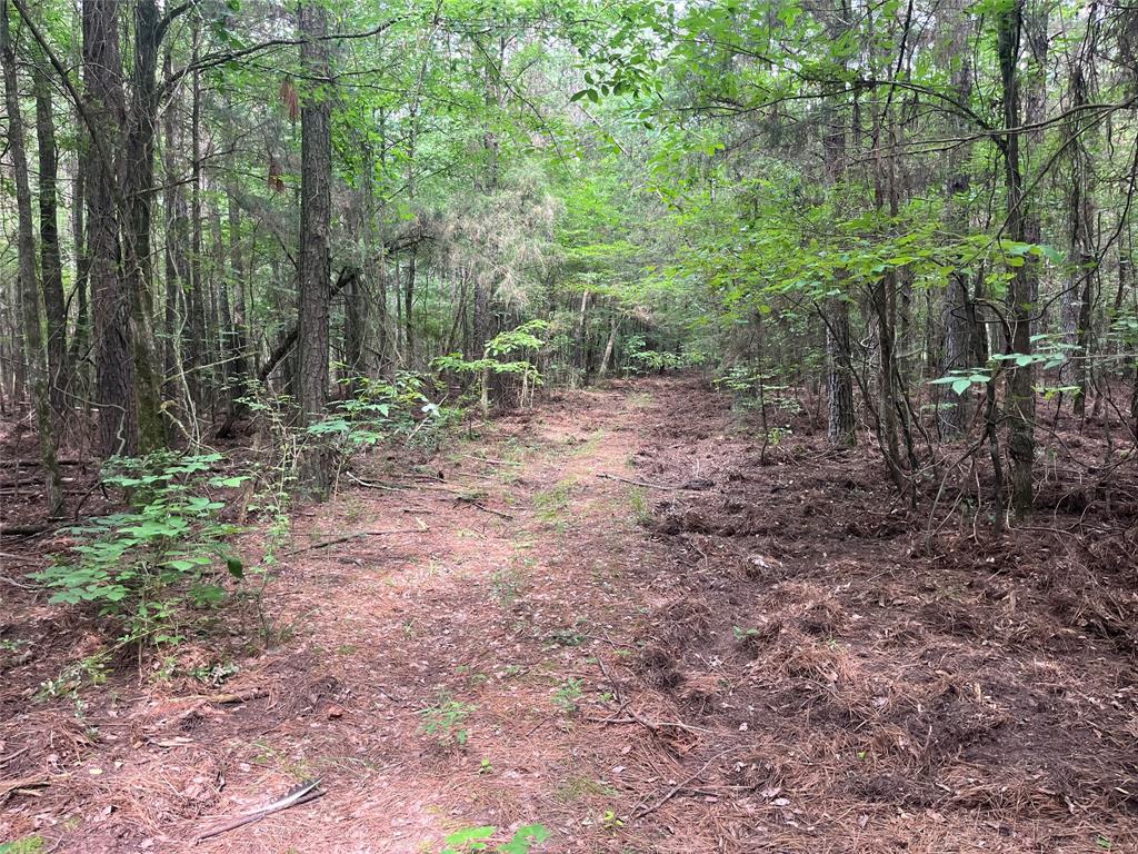 0000 Fm 1699 Property Photo 11