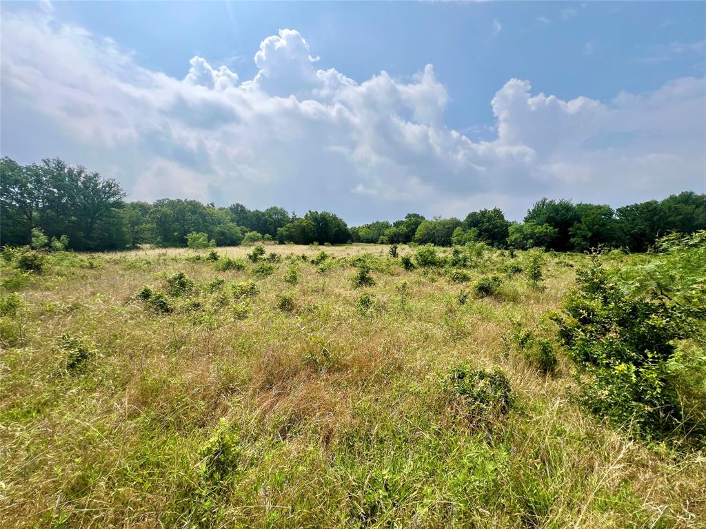 Tract 7 S. Ranch Dr. Property Photo 3