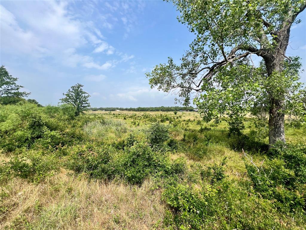 Tract 7 S. Ranch Dr. Property Photo 14