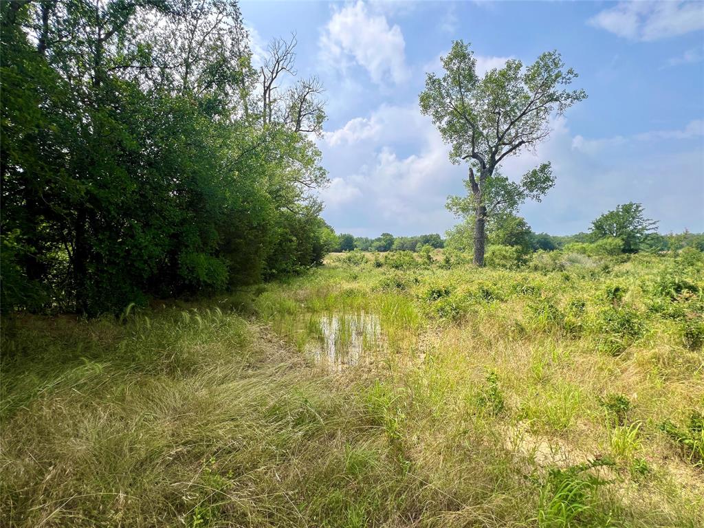 Tract 7 S. Ranch Dr. Property Photo 22
