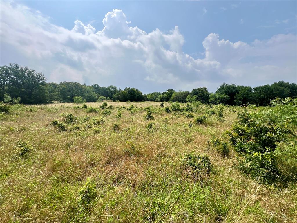Tract 7 S. Ranch Dr. Property Photo 23