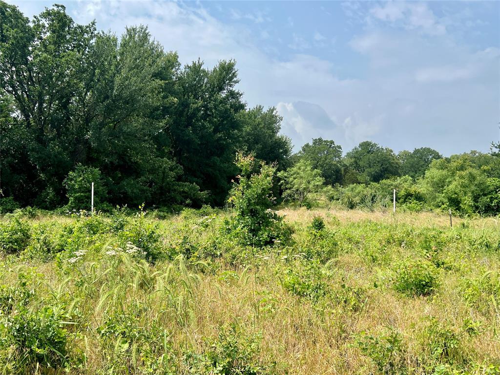Tract 7 S. Ranch Dr. Property Photo 25