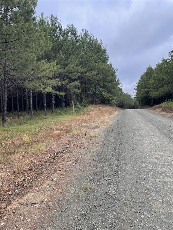 Tbd County Road 1090 Property Photo 1