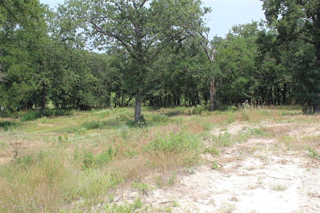 209 Grace Court Property Photo 8