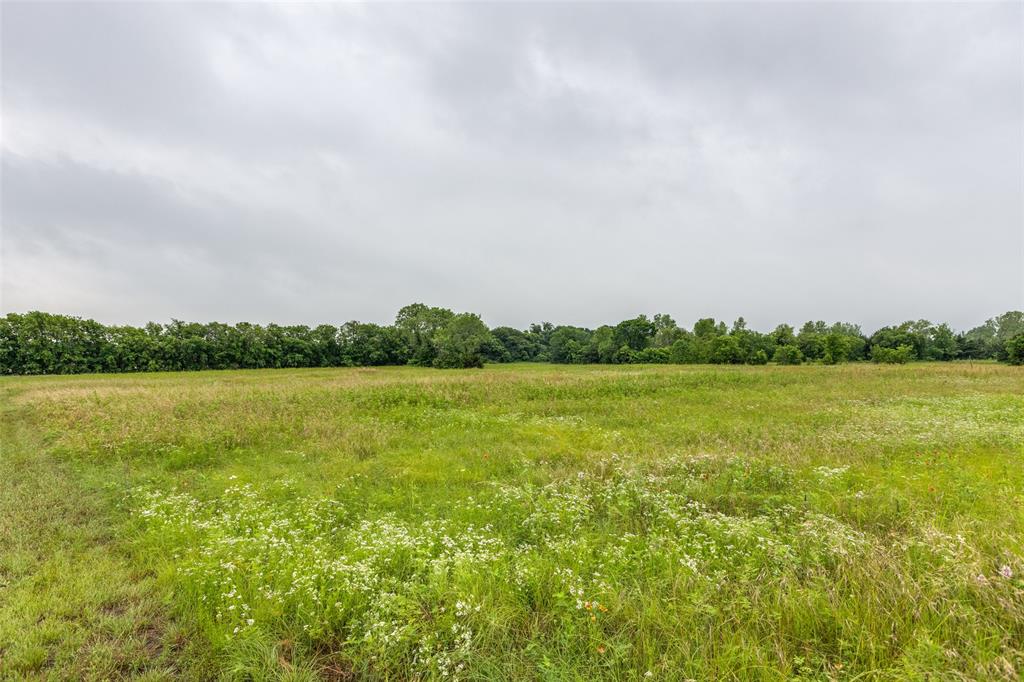 Tbd Baxter Well Road Property Photo 3
