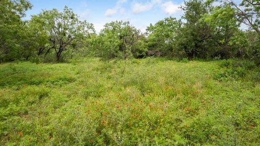 1101 Early Boulevard Property Photo 7