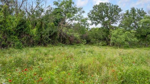 1101 Early Boulevard Property Photo 9