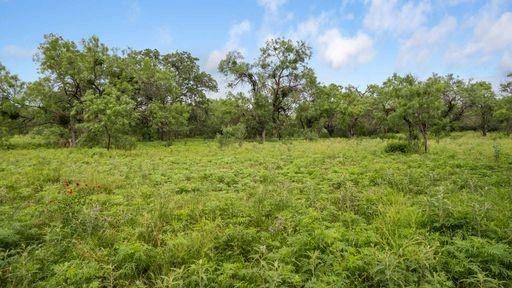 1101 Early Boulevard Property Photo 22