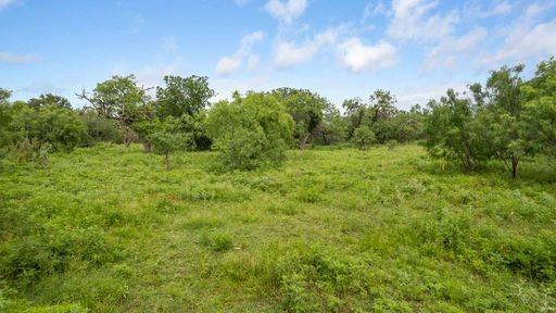 1101 Early Boulevard Property Photo 24