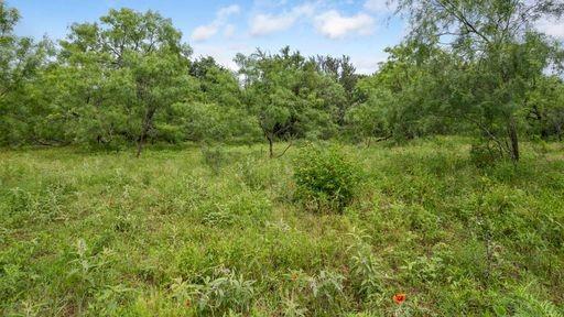 1101 Early Boulevard Property Photo 27