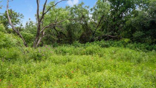 1101 Early Boulevard Property Photo 31
